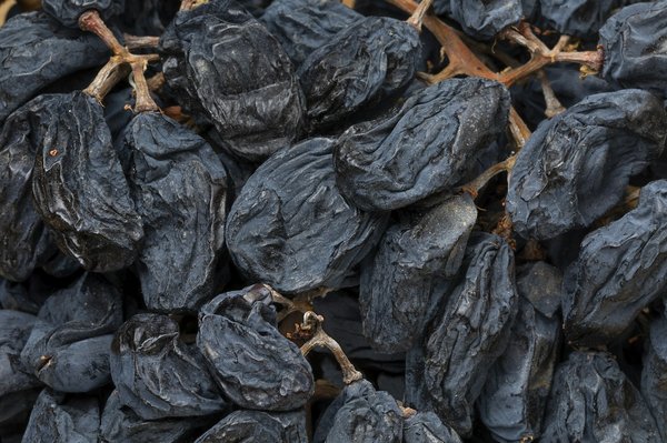 Où participer à des vendanges en famille dans le Bordelais?